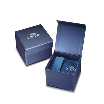 Montre Homme Festina F20623/1