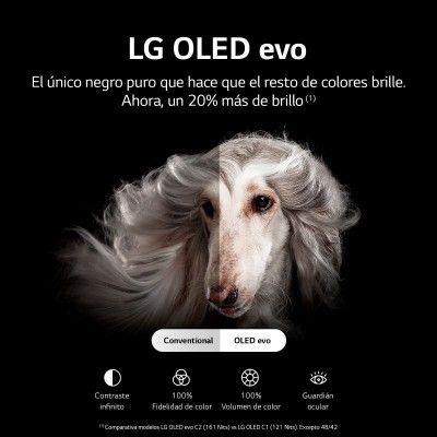 LG 48C24LA Smart TV 48″ 4K ULTRA HD OLED WIFI