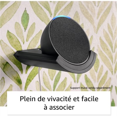 Enceinte Echo Pop connectée Bluetooth et Wi-Fi Anthracite