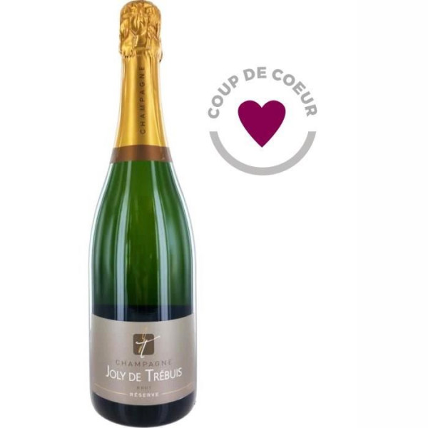 Champagne Joly de Trébuis x1