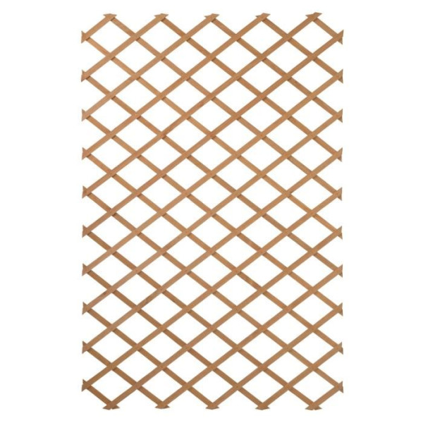 NATURE Treillis extensible en bois naturel 100x200cm - Marron