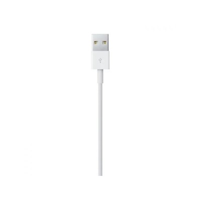 APPLE câble Lightning vers USB 2 Mètre sous blister APPLE câble Lightning vers USB 2 Mètre sous blister